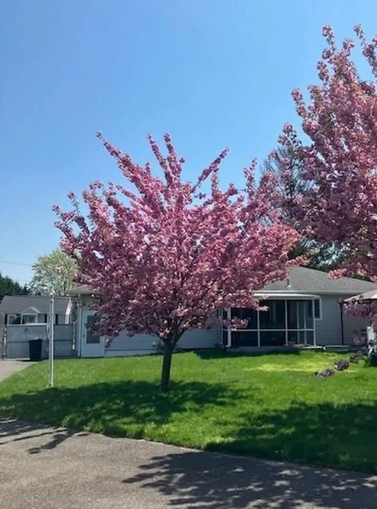 494 Gillette Avenue Bayport NY 11705