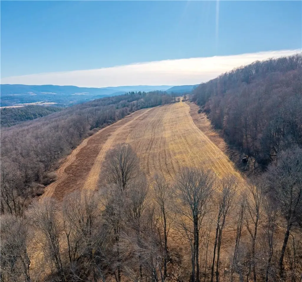 1297 Route 343 Dover Plains NY 12522