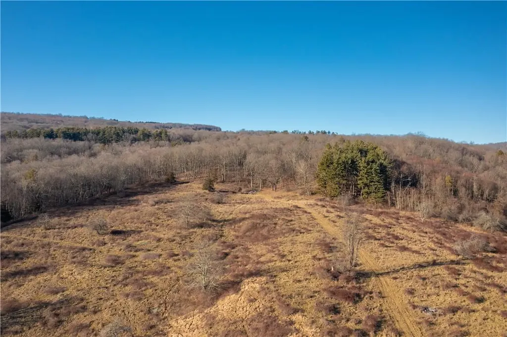 1297 Route 343 Dover Plains NY 12522