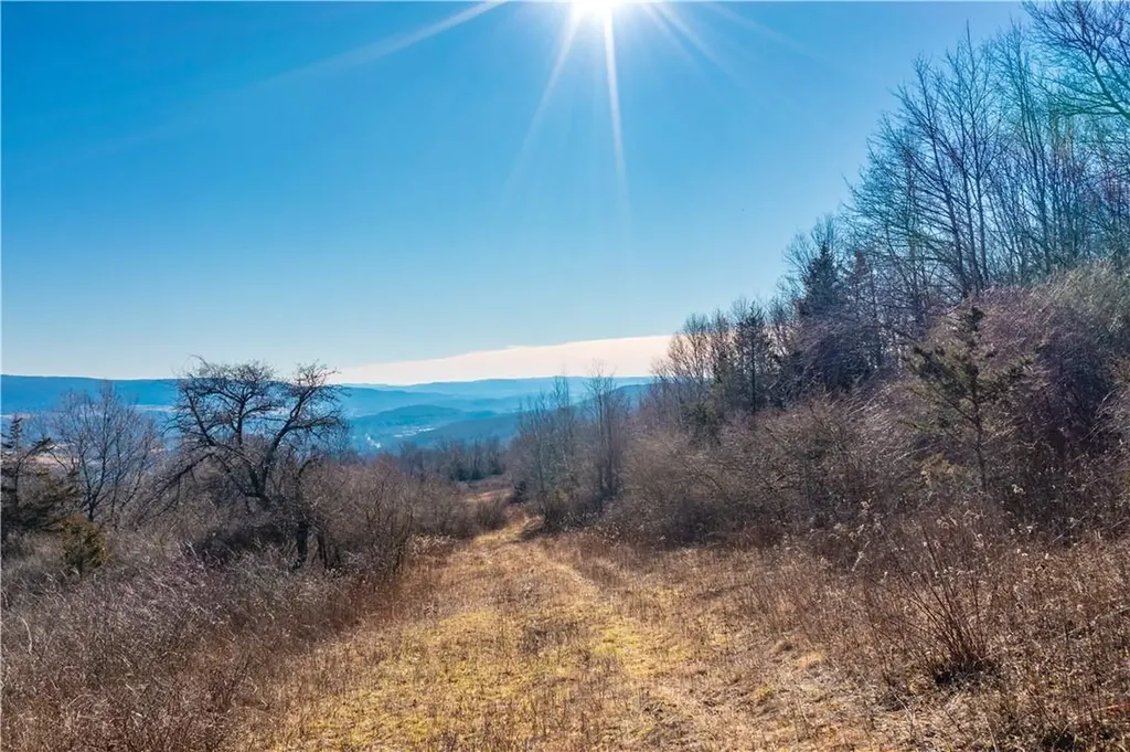 1297 Route 343 Dover Plains NY 12522