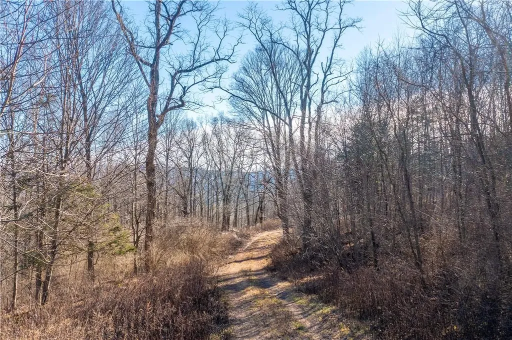1297 Route 343 Dover Plains NY 12522