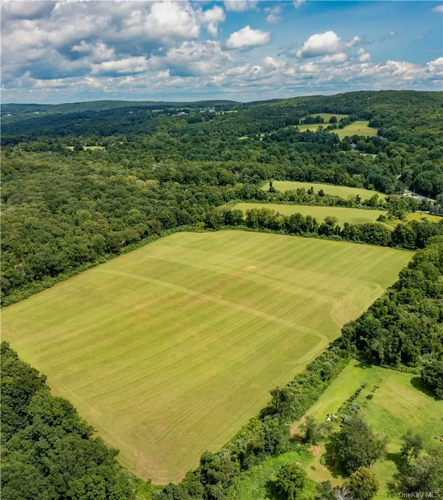 245 Birch Hill Road Patterson NY 12563