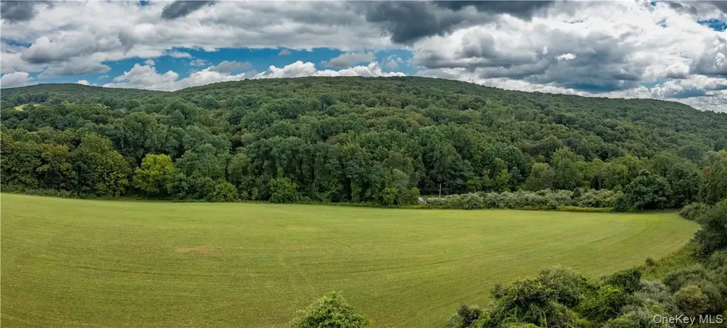 245 Birch Hill Road Patterson NY 12563