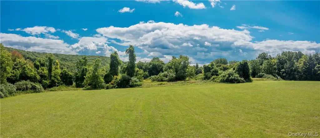 245 Birch Hill Road Patterson NY 12563