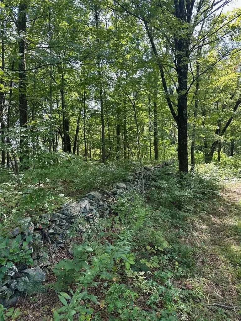 E Fallkill Road Hyde Park NY 12538