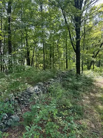 E Fallkill Road Hyde Park NY 12538
