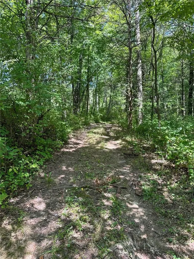 E Fallkill Road Hyde Park NY 12571