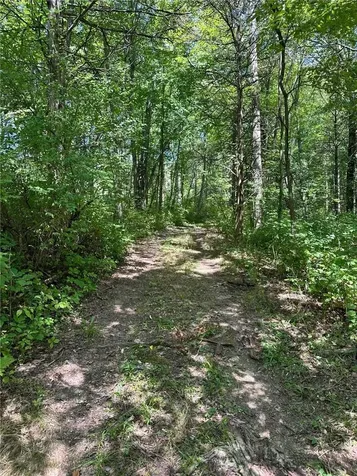 E Fallkill Road Hyde Park NY 12571