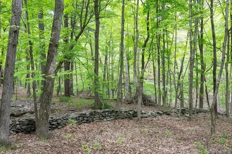 17 Skytop Ridge Rhinebeck NY 12572
