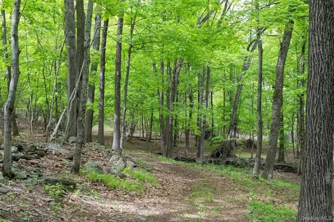 17 Skytop Ridge Rhinebeck NY 12572