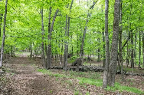 17 Skytop Ridge Rhinebeck NY 12572