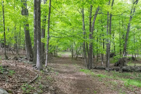 17 Skytop Ridge Rhinebeck NY 12572