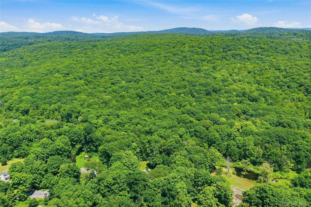 43 Nathan Hale Drive Stormville NY 12582