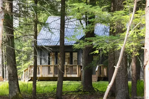 305 Reyer Road Narrowsburg NY 12764