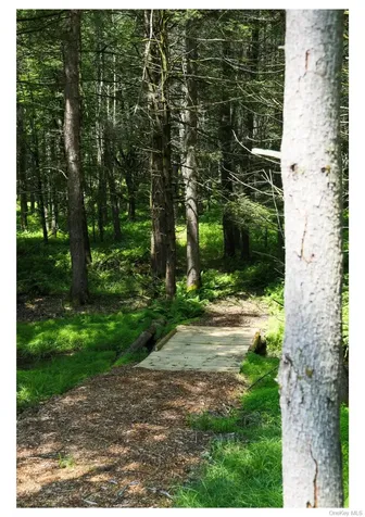 301 Reyer Road Narrowsburg NY 12764