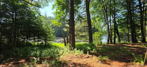 80 Beaver Brook Road Yulan NY 12764