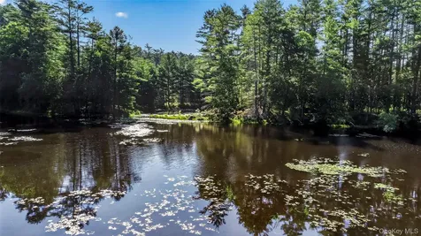 80 Beaver Brook Road Yulan NY 12764