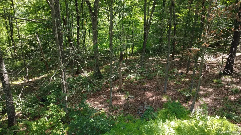 36 Sylvia Barlow Way Brewster NY 10509