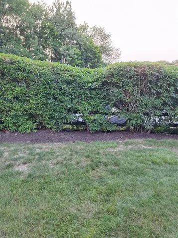 72 Scenic Yorktown Heights NY 10598