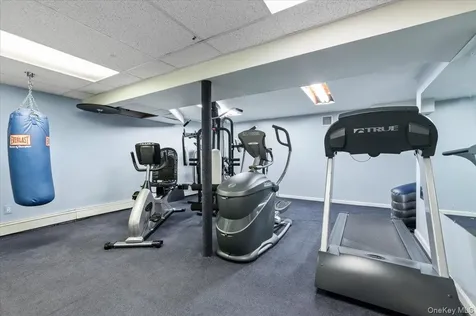 96 Plainview Road Woodbury NY 11797