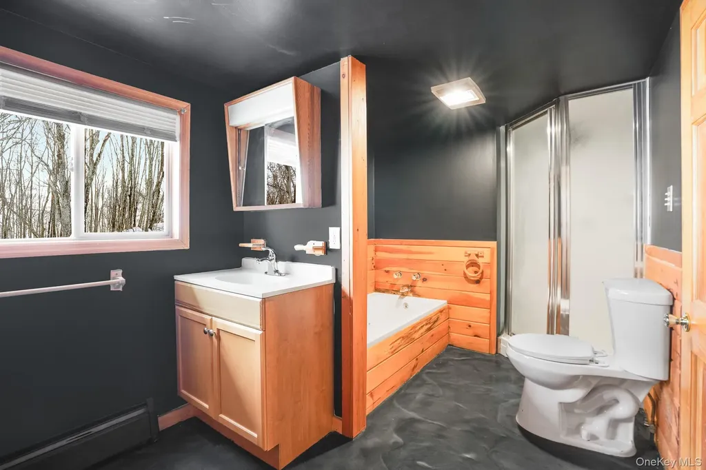 62 Netherwood Plaza Salt Point NY 12578