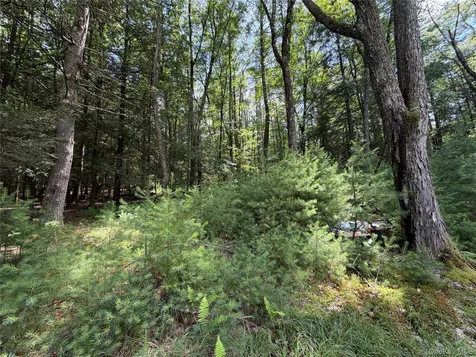 60 Highland Lake Road Eldred NY 12732