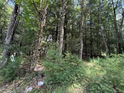 60 Highland Lake Road Eldred NY 12732