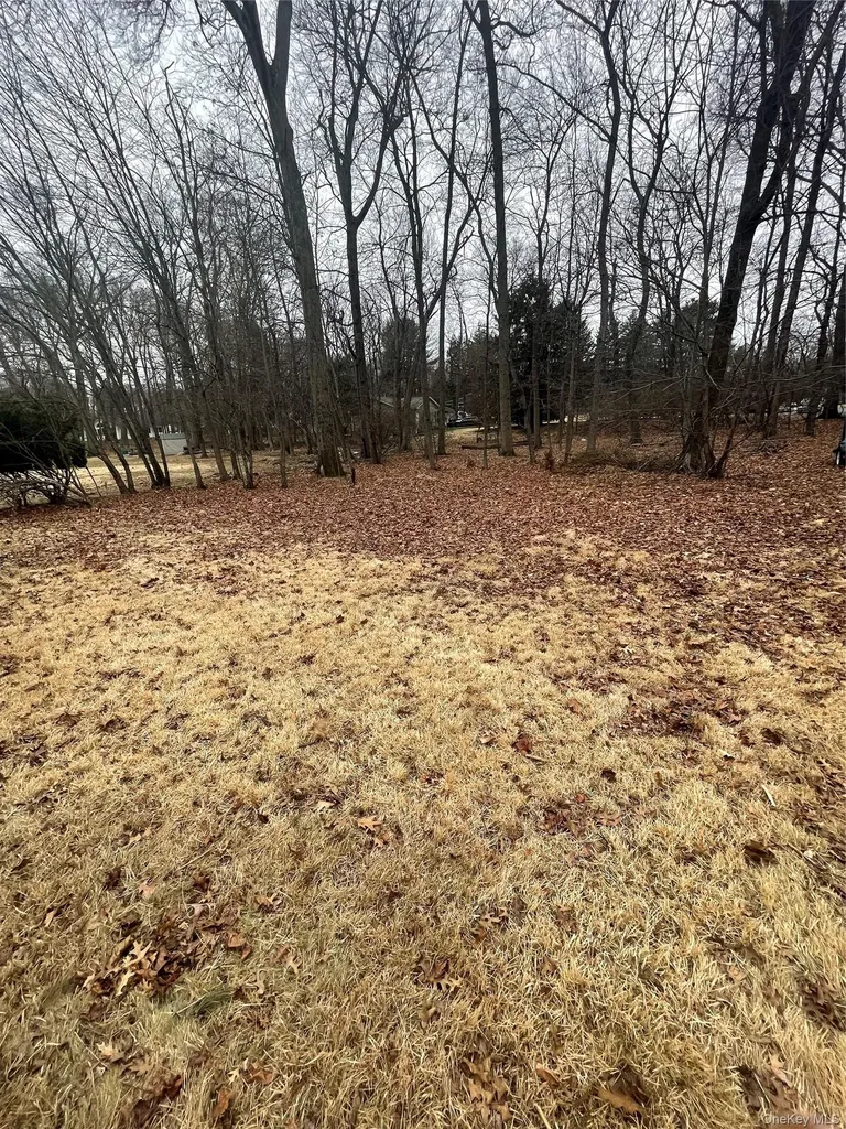 27 Harding Pearl River NY 10965
