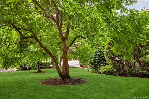 26 Midvale Road Hartsdale NY 10530
