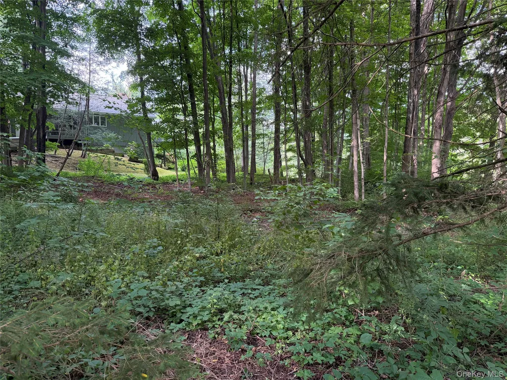 222 Beach Drive Mahopac NY 10541