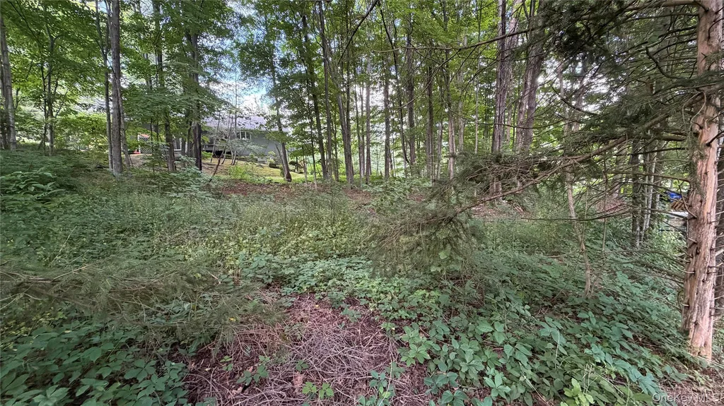 222 Beach Drive Mahopac NY 10541