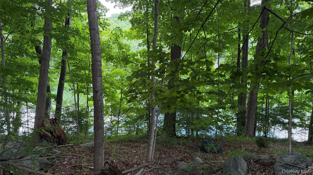 222 Beach Drive Mahopac NY 10541