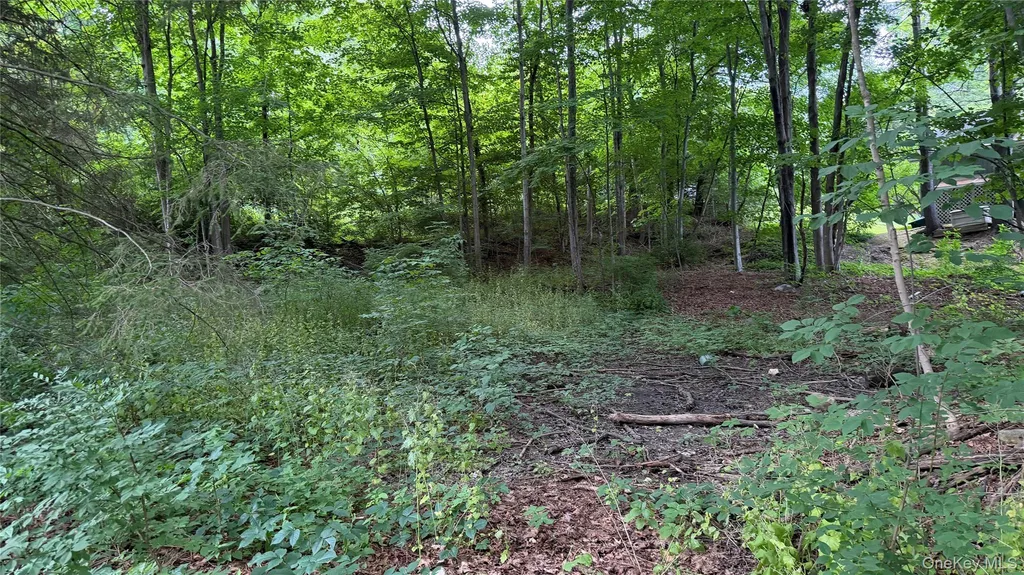 222 Beach Drive Mahopac NY 10541