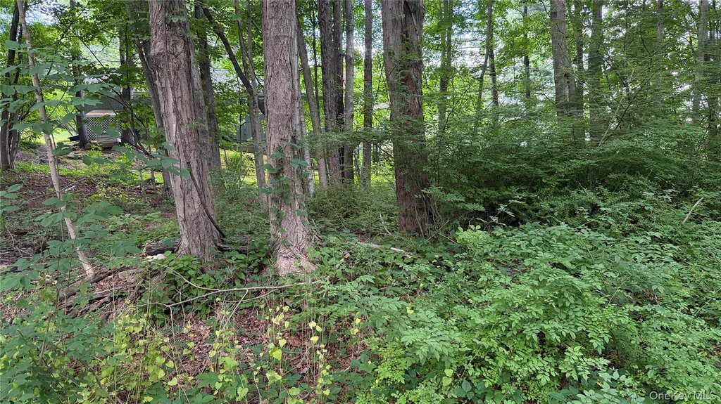 222 Beach Drive Mahopac NY 10541