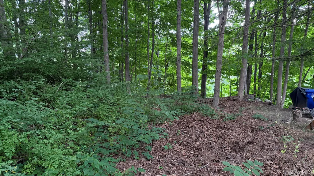 222 Beach Drive Mahopac NY 10541