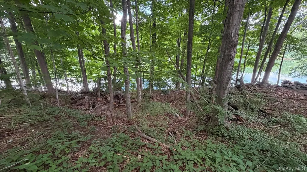 222 Beach Drive Mahopac NY 10541