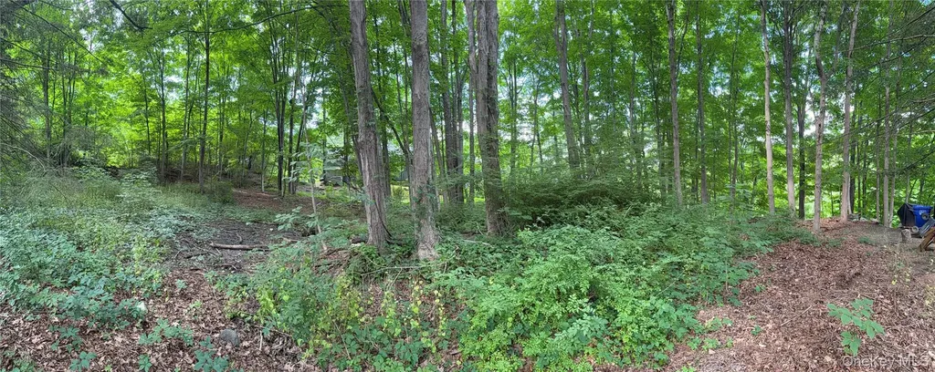 222 Beach Drive Mahopac NY 10541