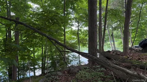 222 Beach Drive Mahopac NY 10541