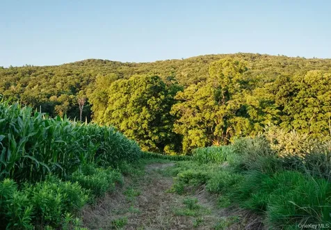 1275 Boston Corners Road Millerton NY 12546