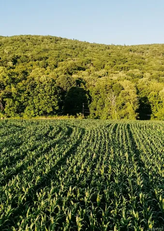 1275 Boston Corners Road Millerton NY 12546