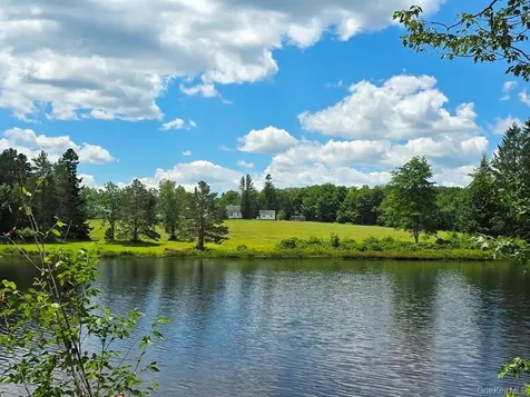 40 Sparten Hill Road Livingston Manor NY 12758