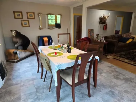 40 Sparten Hill Road Livingston Manor NY 12758