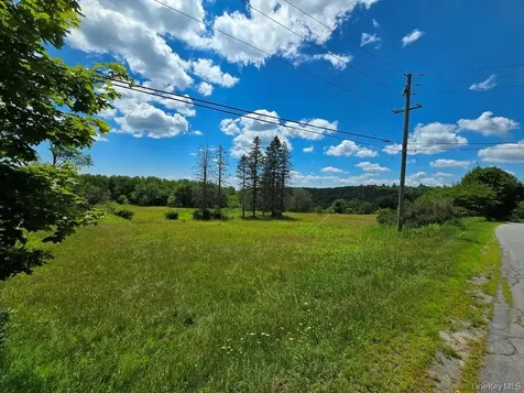 40 Sparten Hill Road Livingston Manor NY 12758