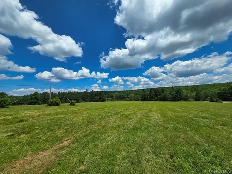 40 Sparten Hill Road Livingston Manor NY 12758