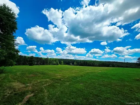 40 Sparten Hill Road Livingston Manor NY 12758