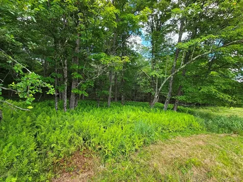 40 Sparten Hill Road Livingston Manor NY 12758