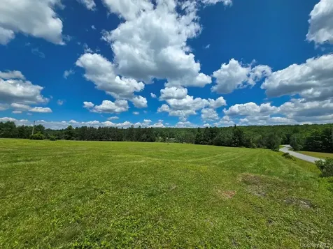 40 Sparten Hill Road Livingston Manor NY 12758