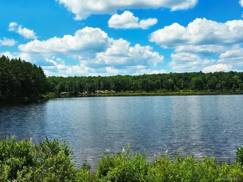 40 Sparten Hill Road Livingston Manor NY 12758