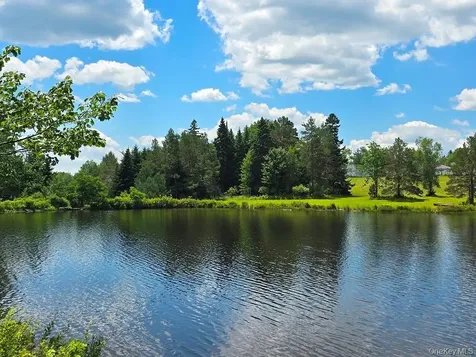 40 Sparten Hill Road Livingston Manor NY 12758