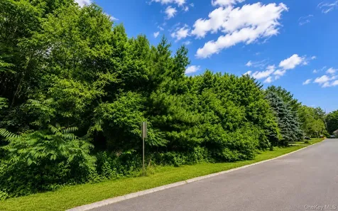 Patricia Drive Pleasant Valley NY 12569